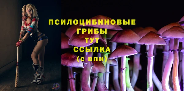 меф Мегион