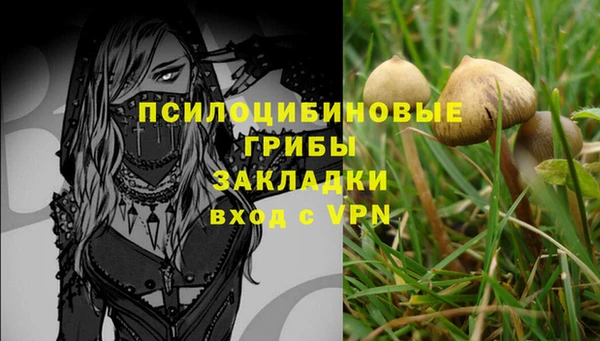 кокс Медвежьегорск