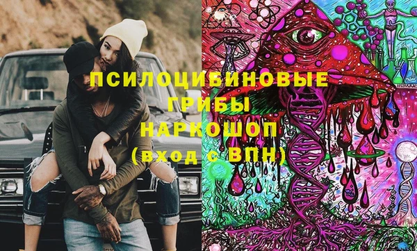 бошки Медногорск