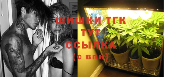 бошки Медногорск