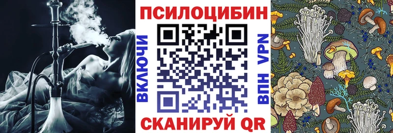 Галлюциногенные грибы Psilocybe  Светлоград 